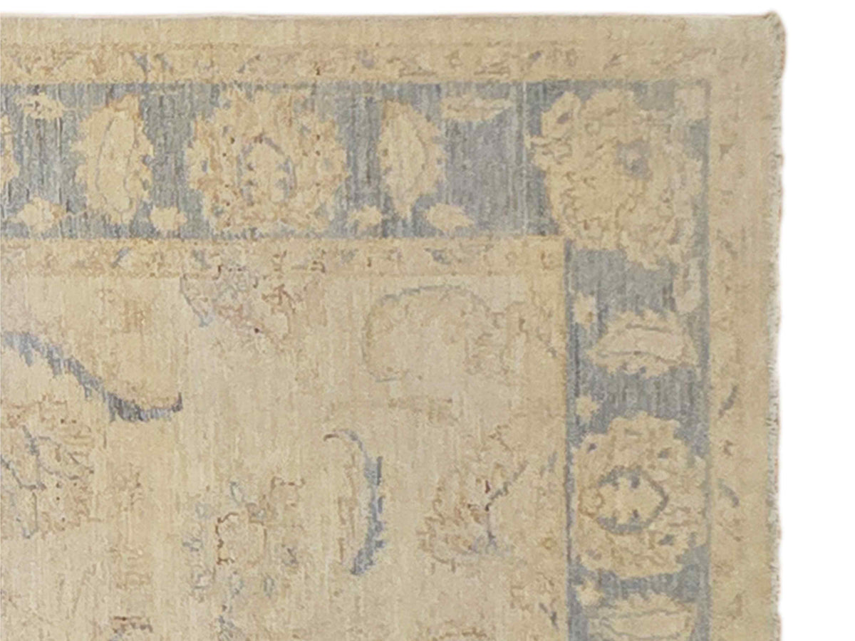 Beige and light blue rug border with repeating medallion shapes and distressed pattern