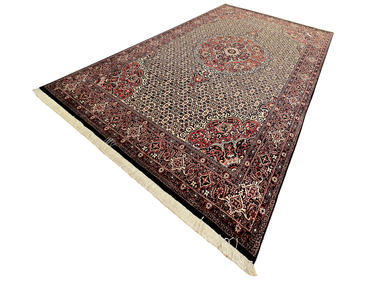 Bidjar rug angled view with red patterned border and cream-fringed edge