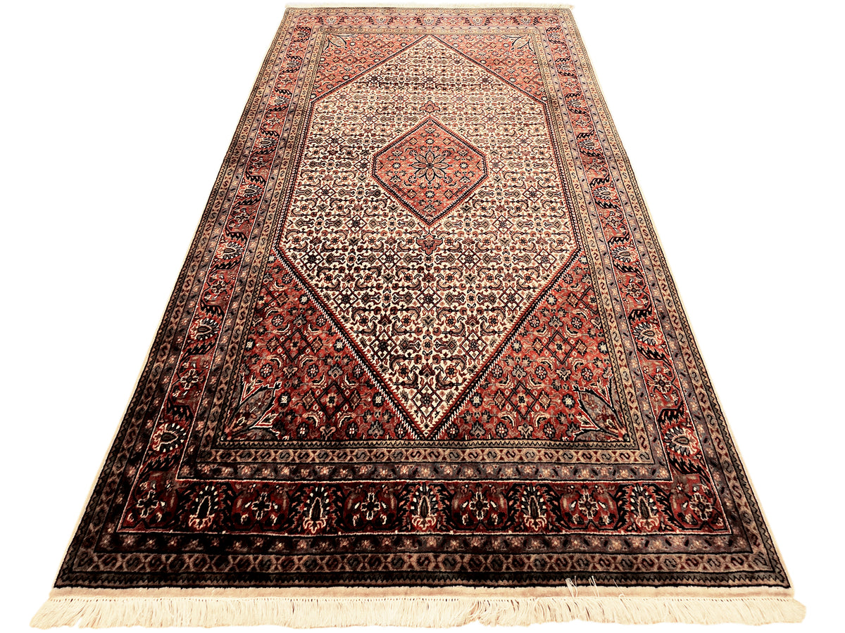 Bidjar rug with cream medallion, red border, dark accents, and fringe edges.