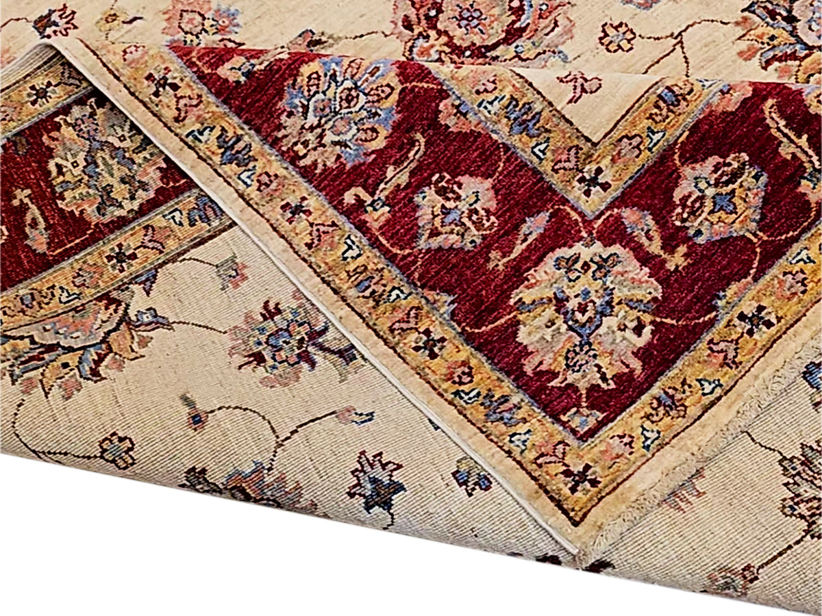 Traditional area rug with cream field, red medallions, and ornate border pattern